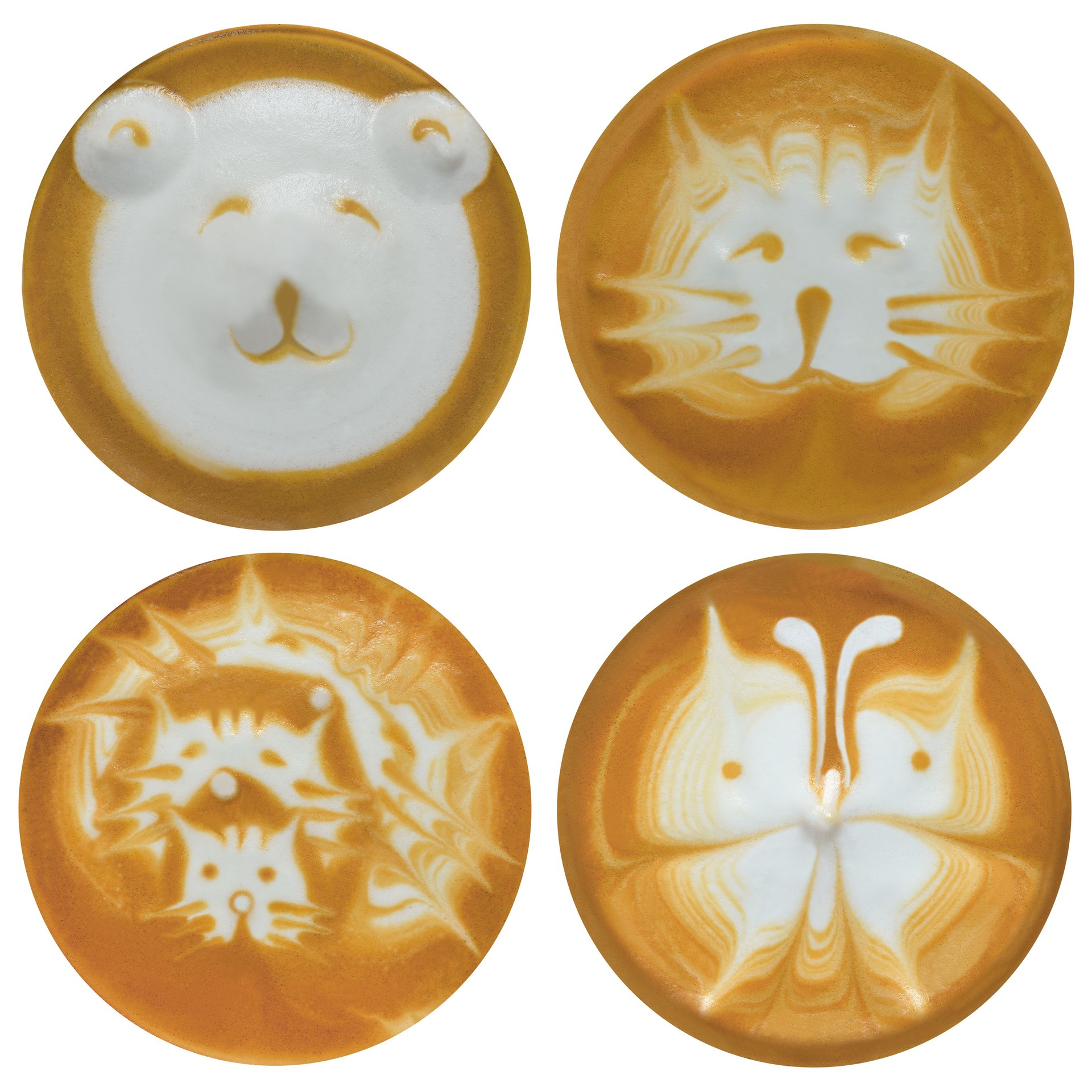 Fun and cute latte art class for beginners at CAN Academy Klang and Kuala Lumpur