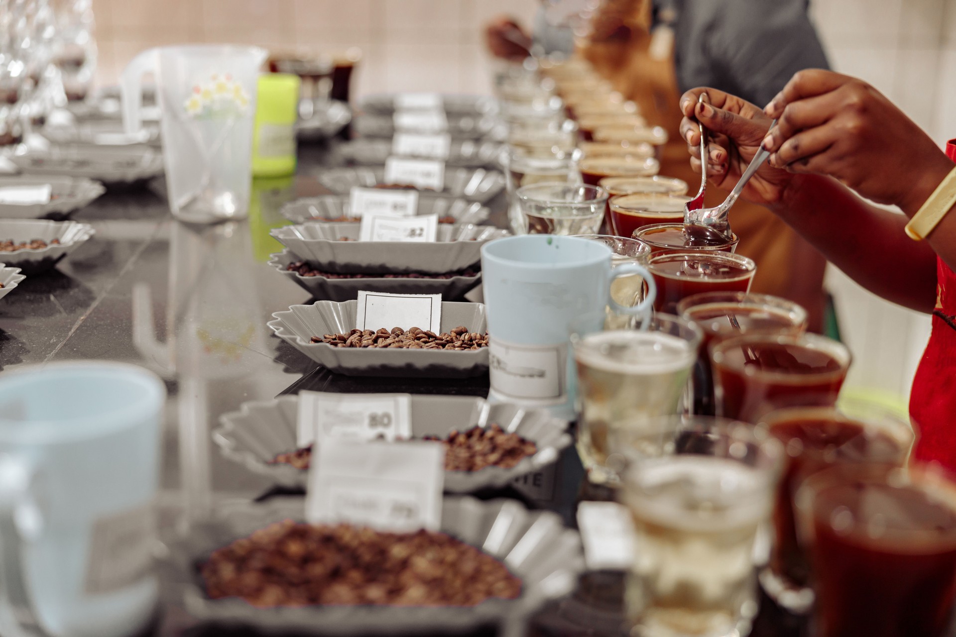 Weekend sensory workshop tasting coffees at CAN Academy Klang Selangor and Kuala Lumpur